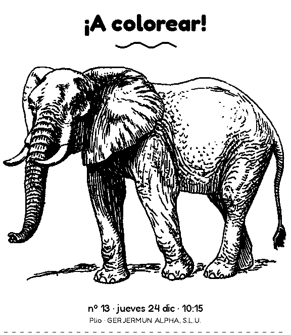 Ticket con un elefante para colorear